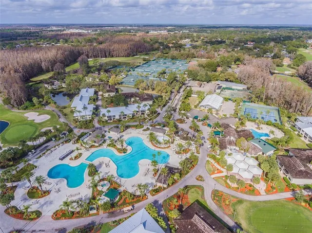 a view of a yard with plants and a trees
