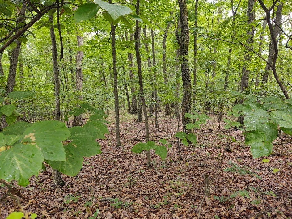 Lot 36 Middle Ridge Road, Unit 36 Hesston, PA 16647 - Photo 7 of 8 Gallery Image 7