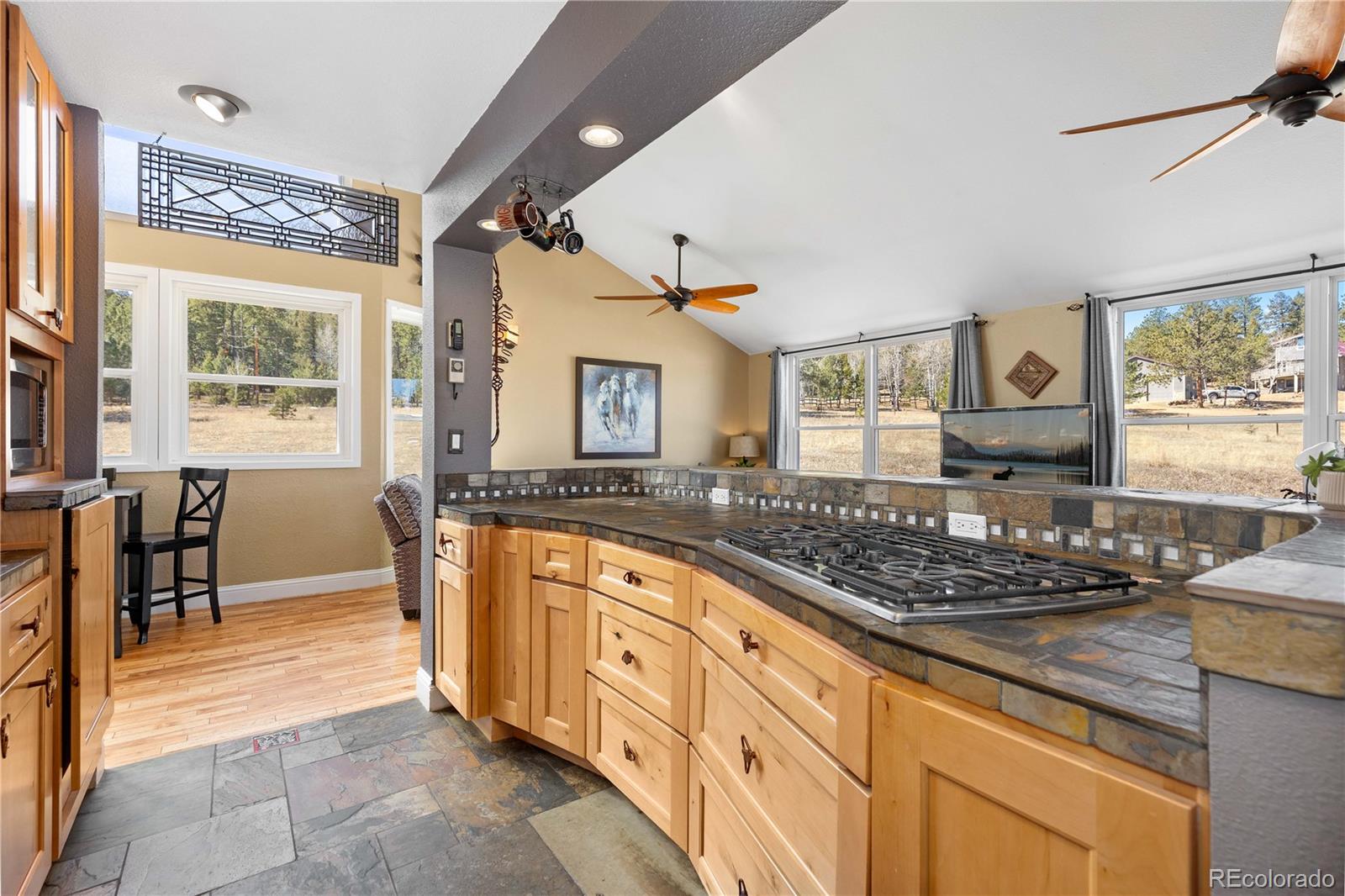 1819 Nova Road Pine, CO 80470 - Photo 7 of 41 Gallery Image 7