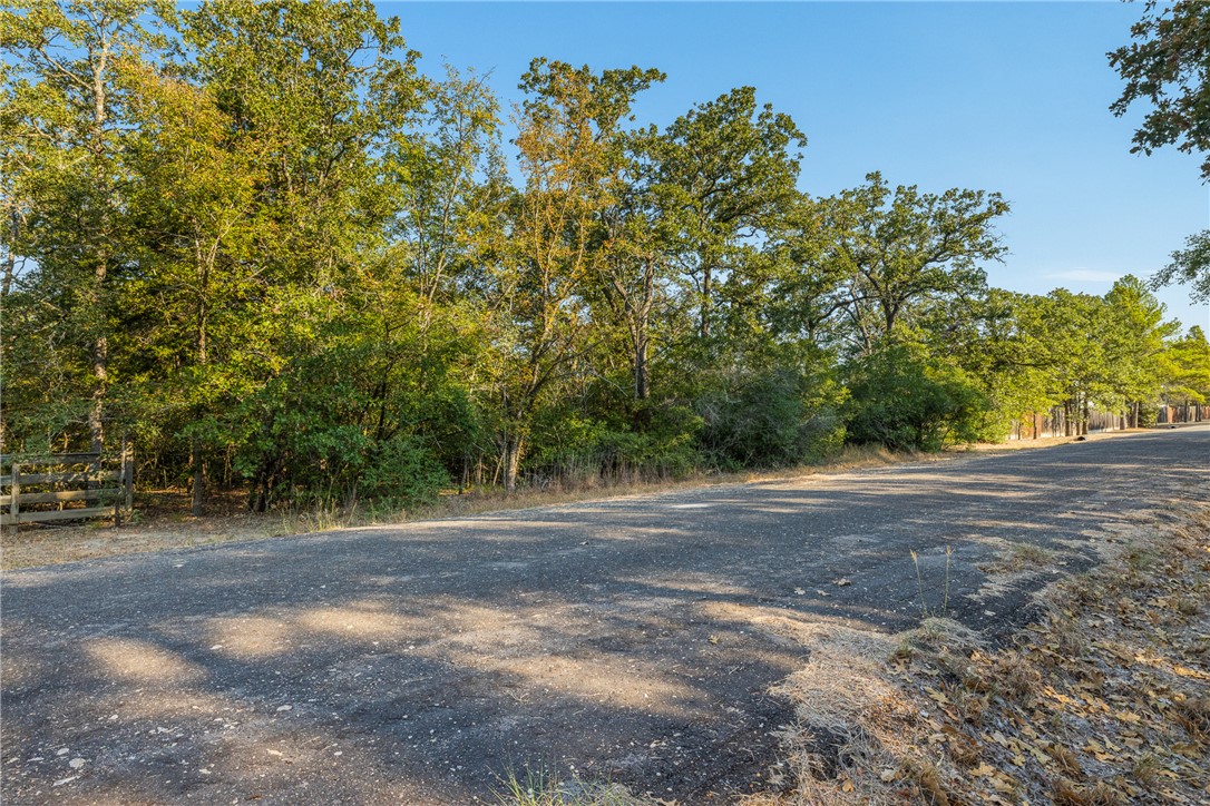 Tbd Wolf Run Street Somerville, TX 77879 - Photo 8 of 17 a view of a yard with a tree