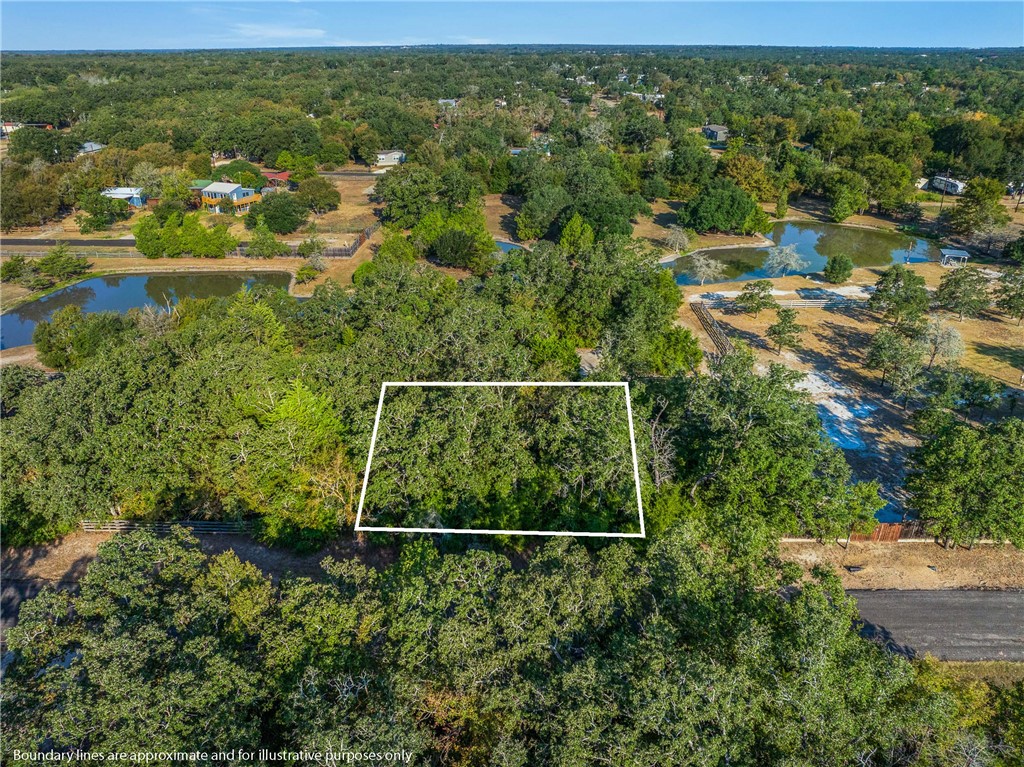 Tbd Wolf Run Street Somerville, TX 77879 - Photo 10 of 17 a view of a garden