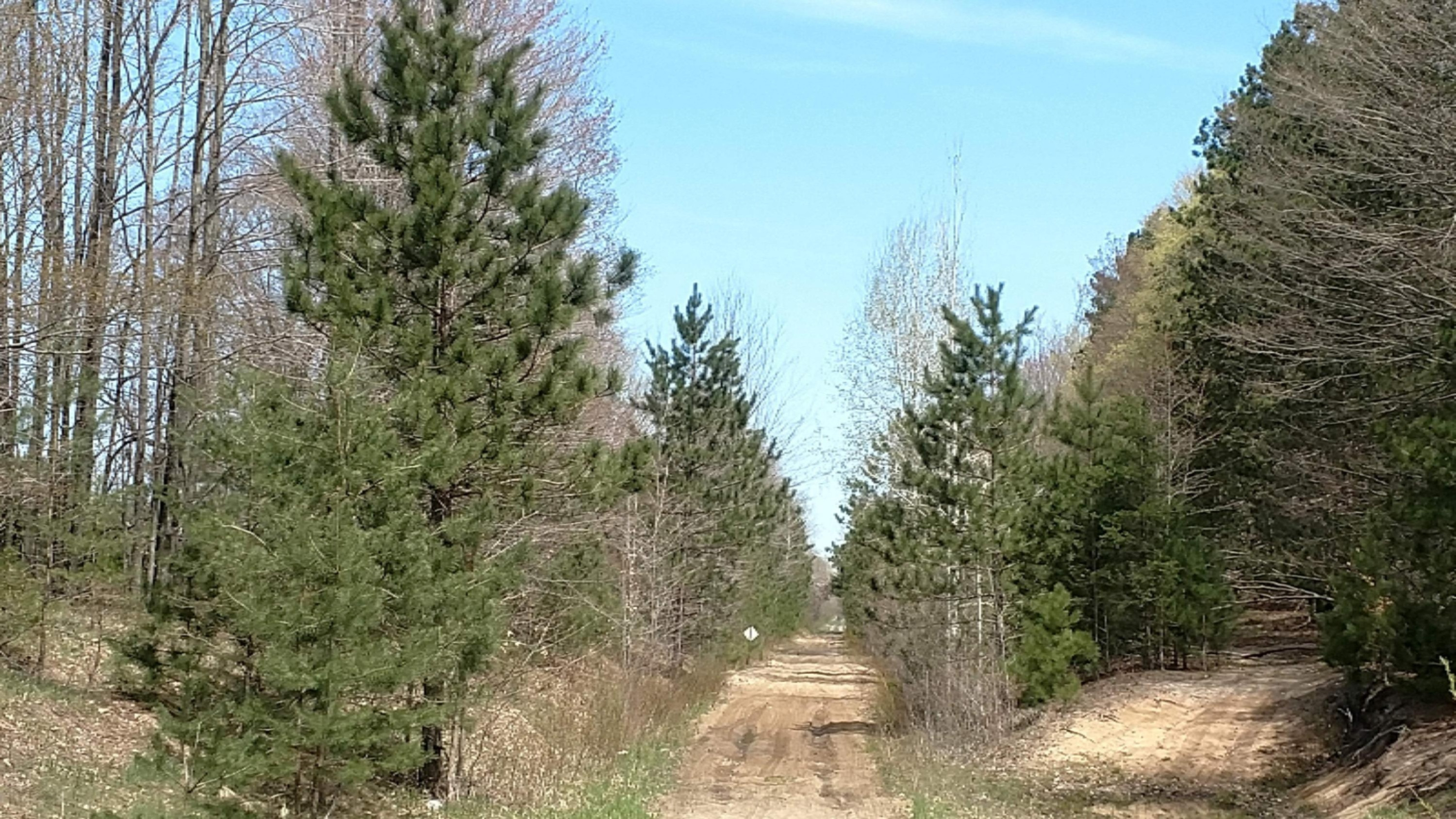 12.7-acres Lindroos Road Kaleva, MI 49645 - Photo 20 of 23 Groomed Snowmobile