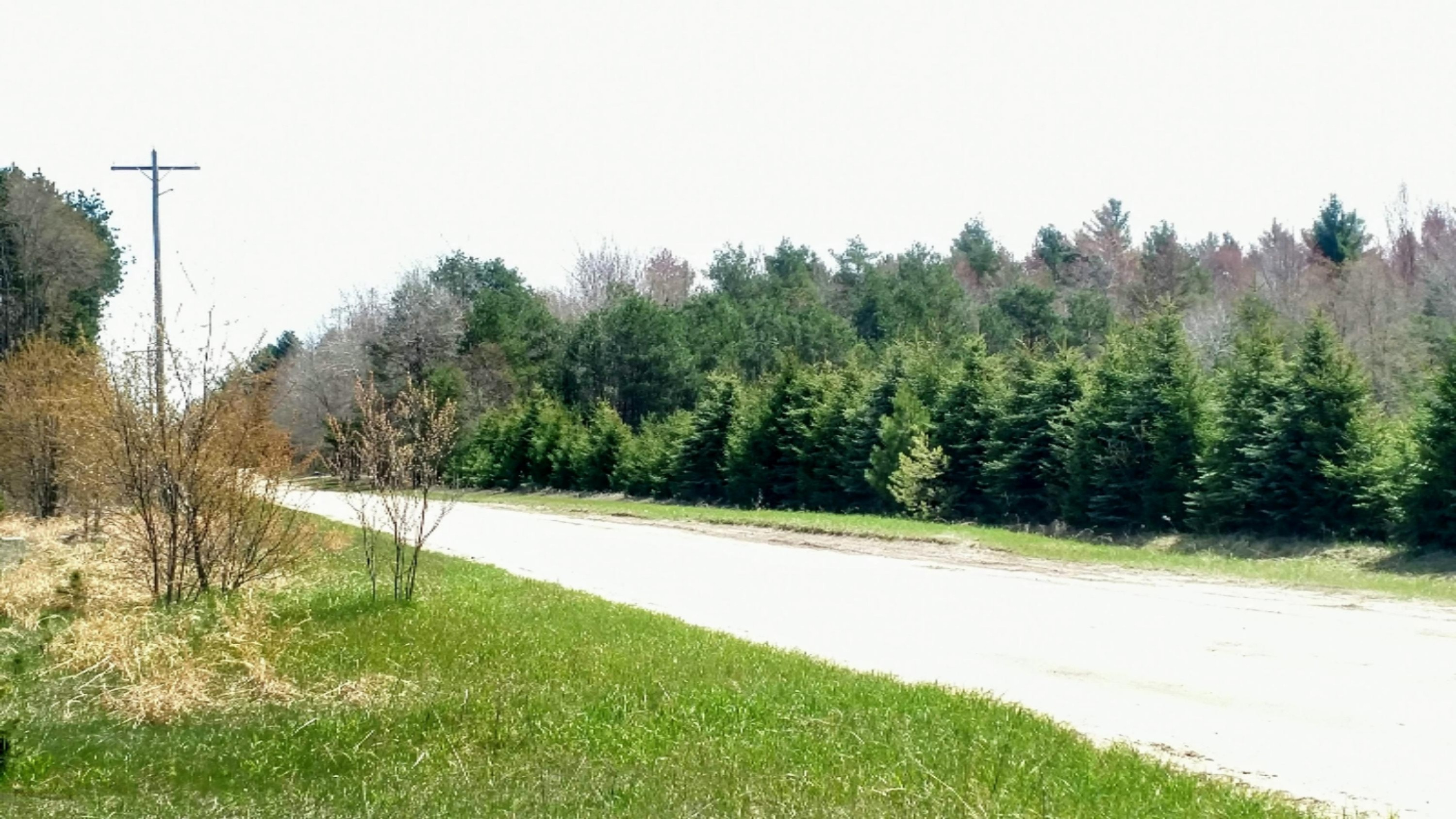 12.7-acres Lindroos Road Kaleva, MI 49645 - Photo 3 of 23 Nice Road Frontage