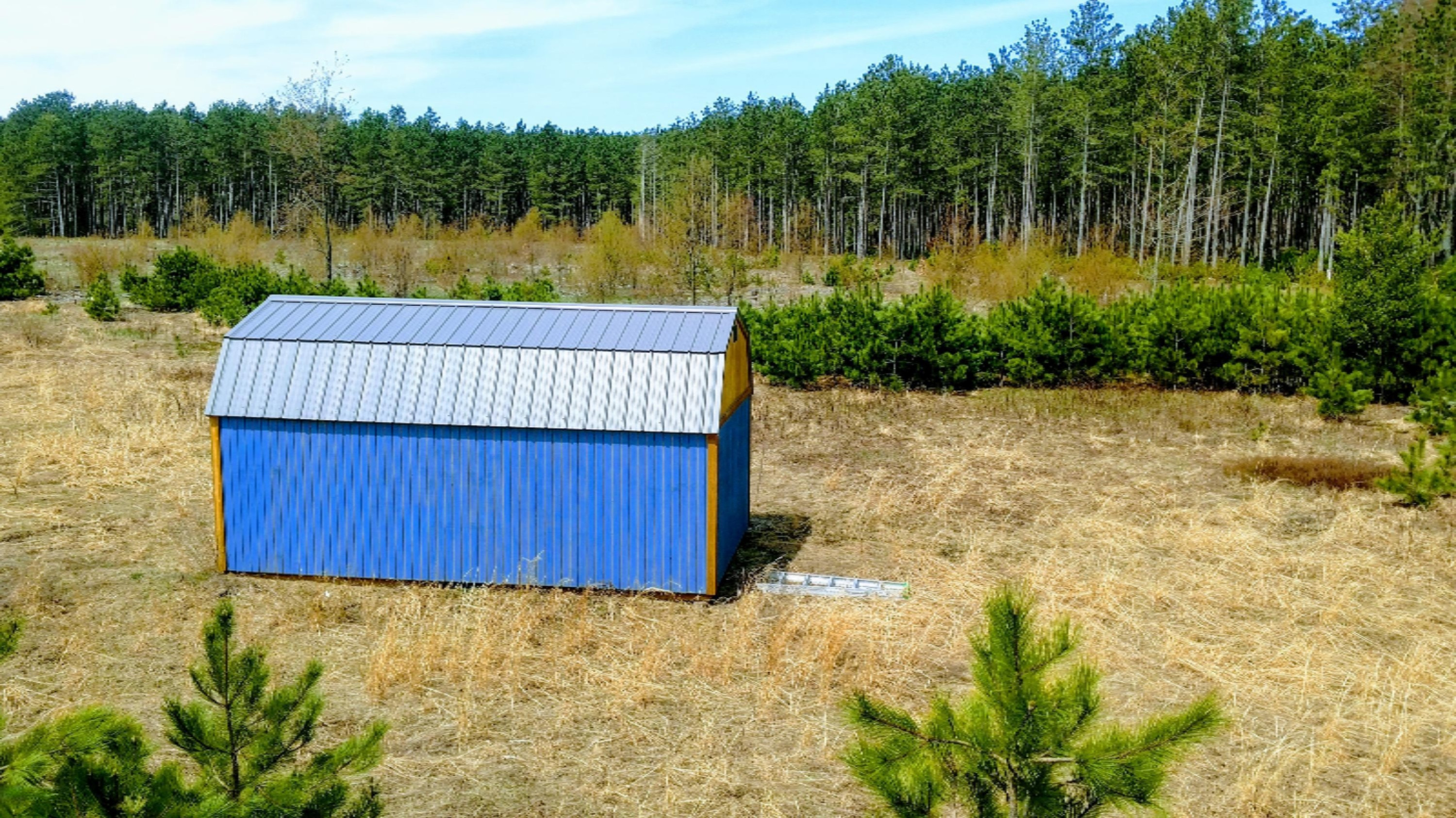 12.7-acres Lindroos Road Kaleva, MI 49645 - Photo 7 of 23 Big Country
