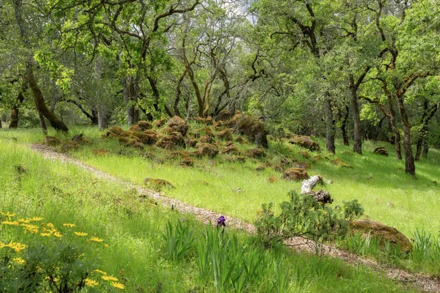 $1,545,000 | 1355 White Oak Drive, Santa Rosa, CA 95409