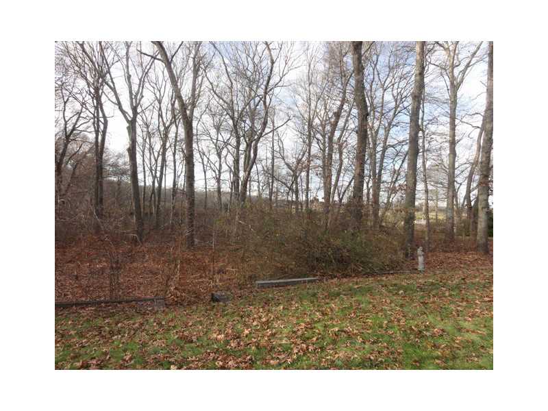 3 South County Trail Exeter, RI 02822 - Photo 6 of 23 Yard/Garden. large yard