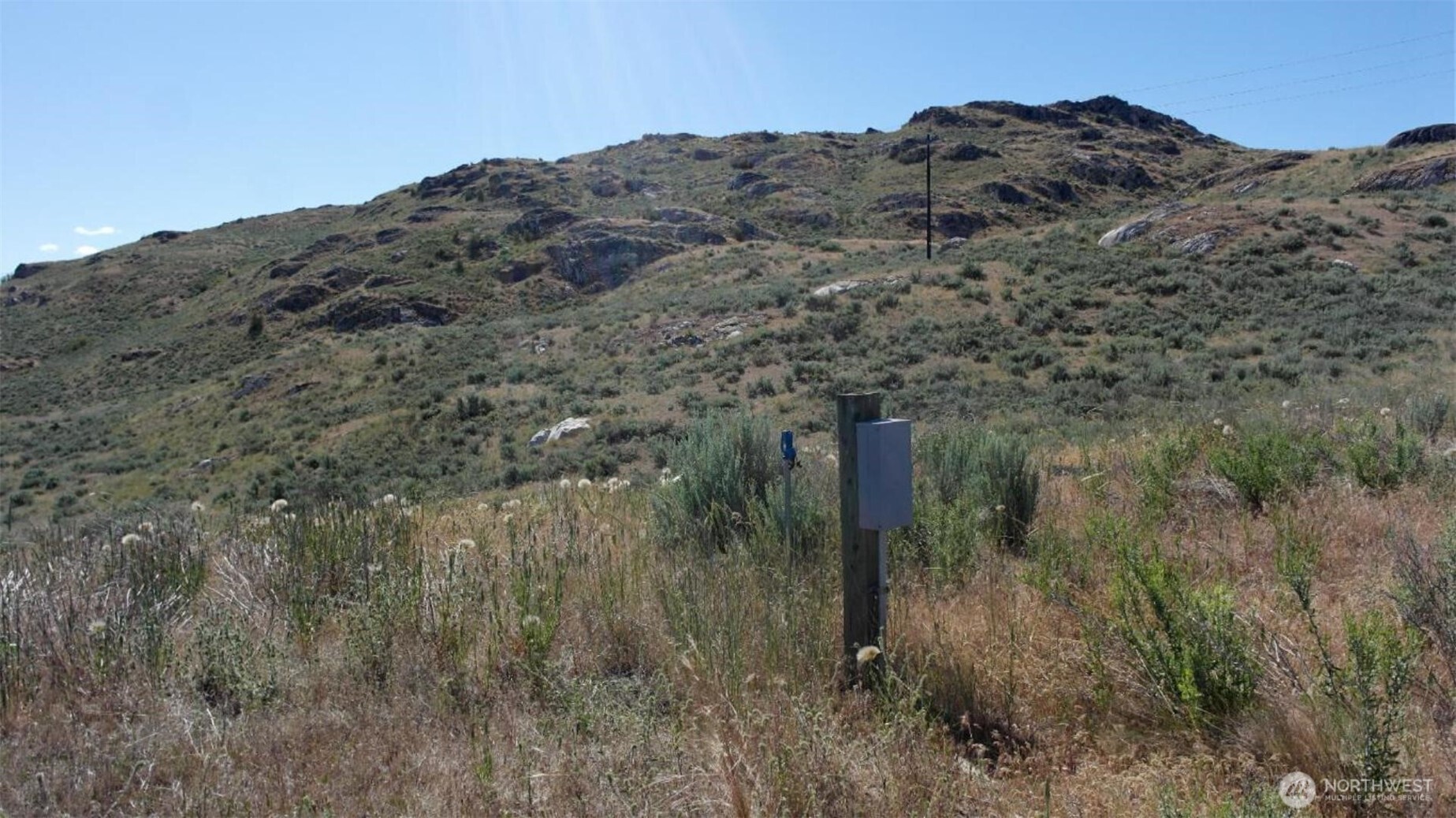 446 Plata Road Brewster, WA 98812 - Photo 19 of 32 a view of a dry top of forest