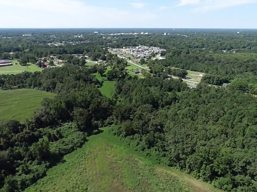 12.752-ac 12.752-ac Kinsey Rd/ Keel Road Dothan, AL 36301 - Photo 20 of 22