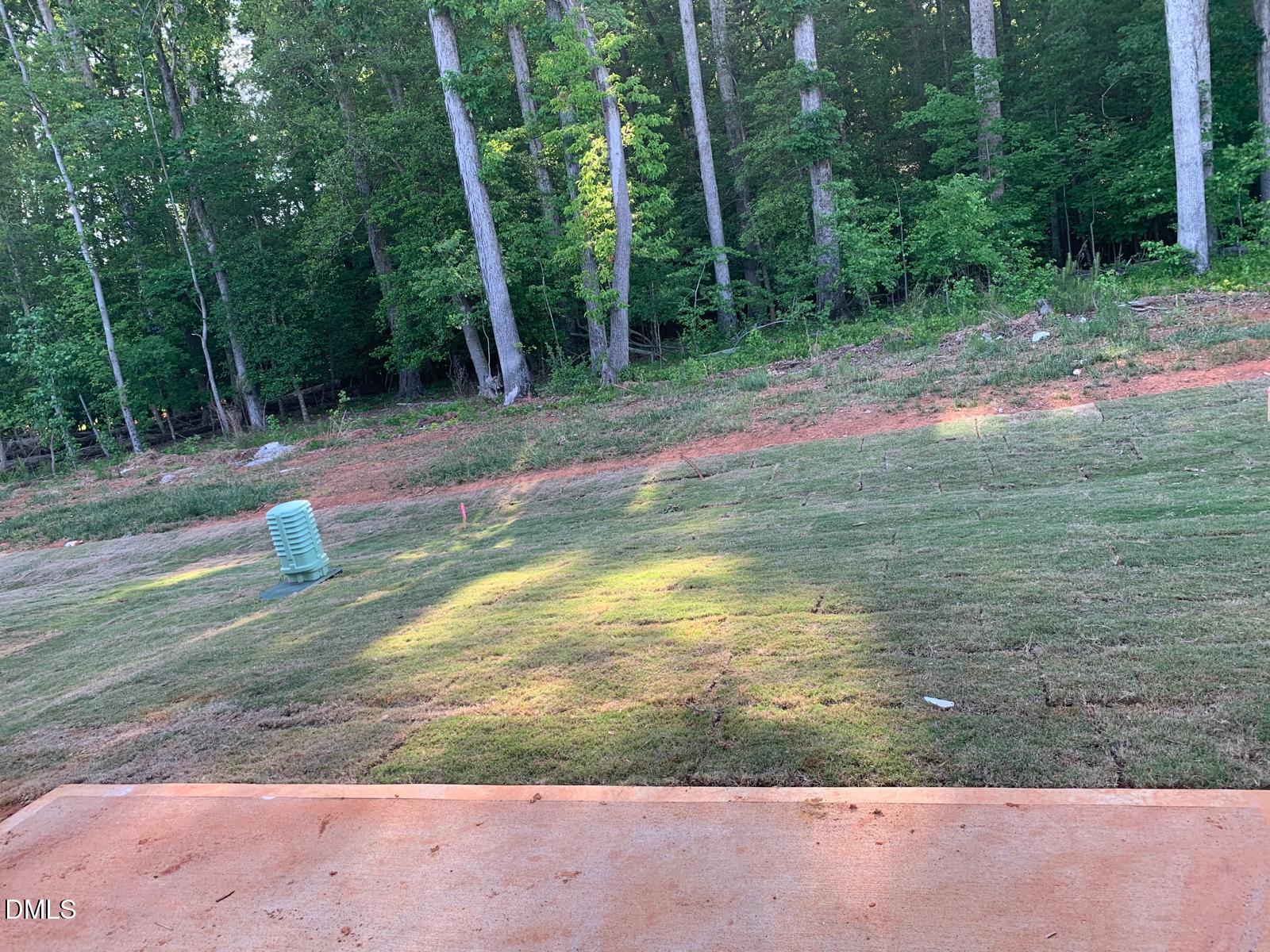 233 Broomside Avenue Raleigh, NC 27603 - Photo 11 of 18 a view of a backyard