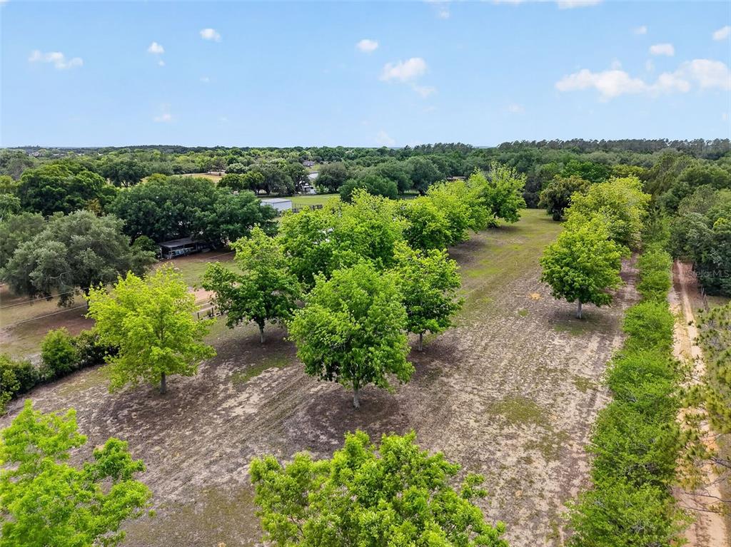 40635 Thomas Boat Landing Road Umatilla, FL 32784 - Photo 6 of 44