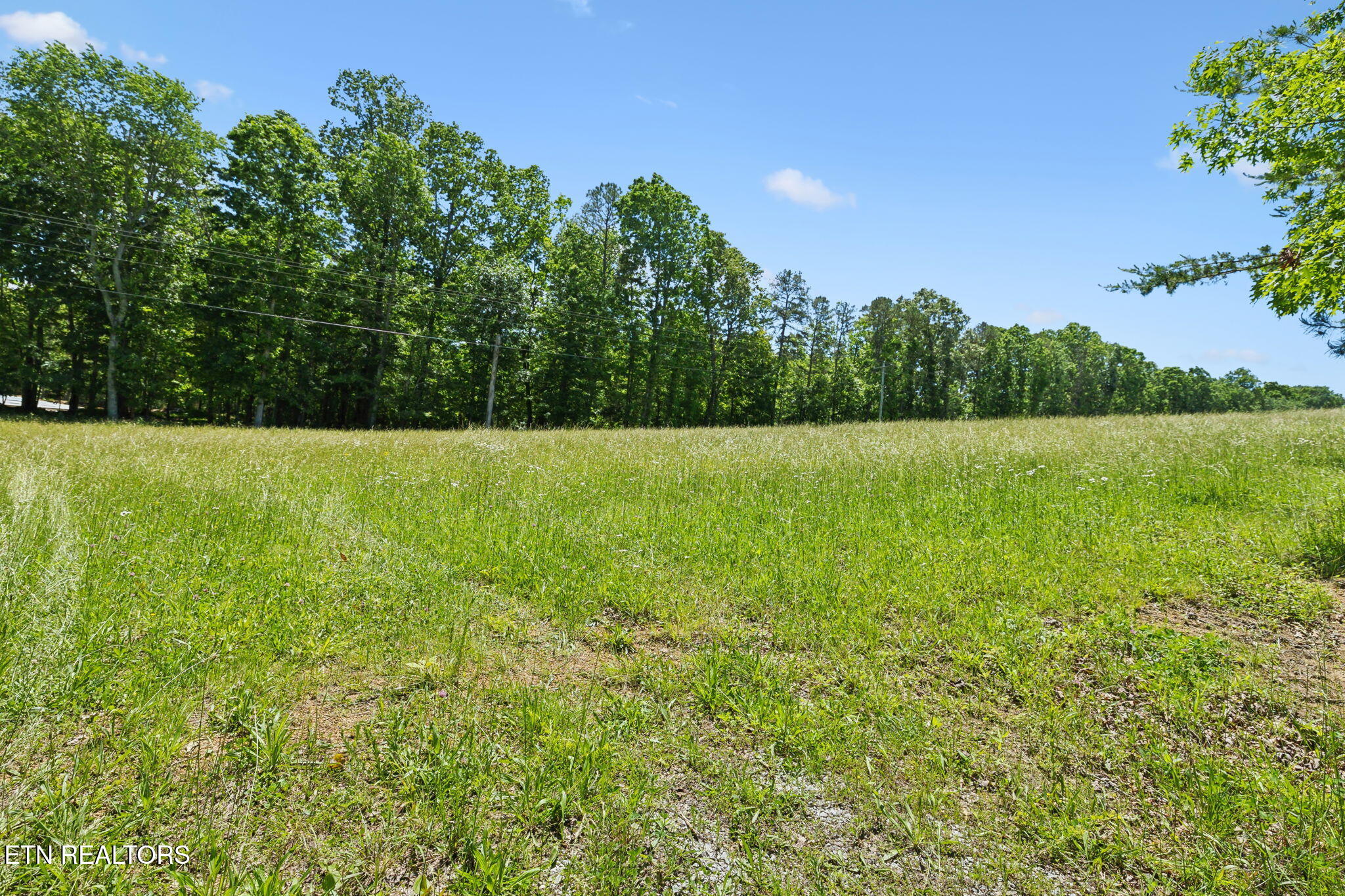 1460 Big Neck Road Grandview, TN 37337 - Photo 7 of 32 Rolling Fields