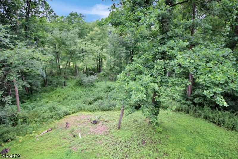149 North Locust Lake Road Blairstown, NJ 07825 - Photo 12 of 12
