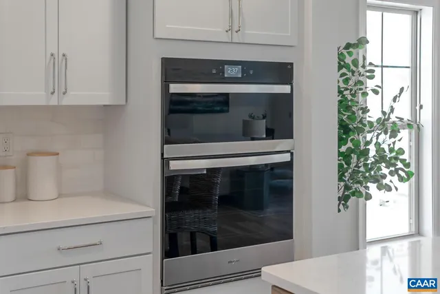 a kitchen with a stove and a potted plant