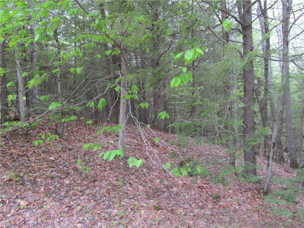 596 Litchfield Road Bowdoin, ME 04287 - Photo 6 of 8 Photo