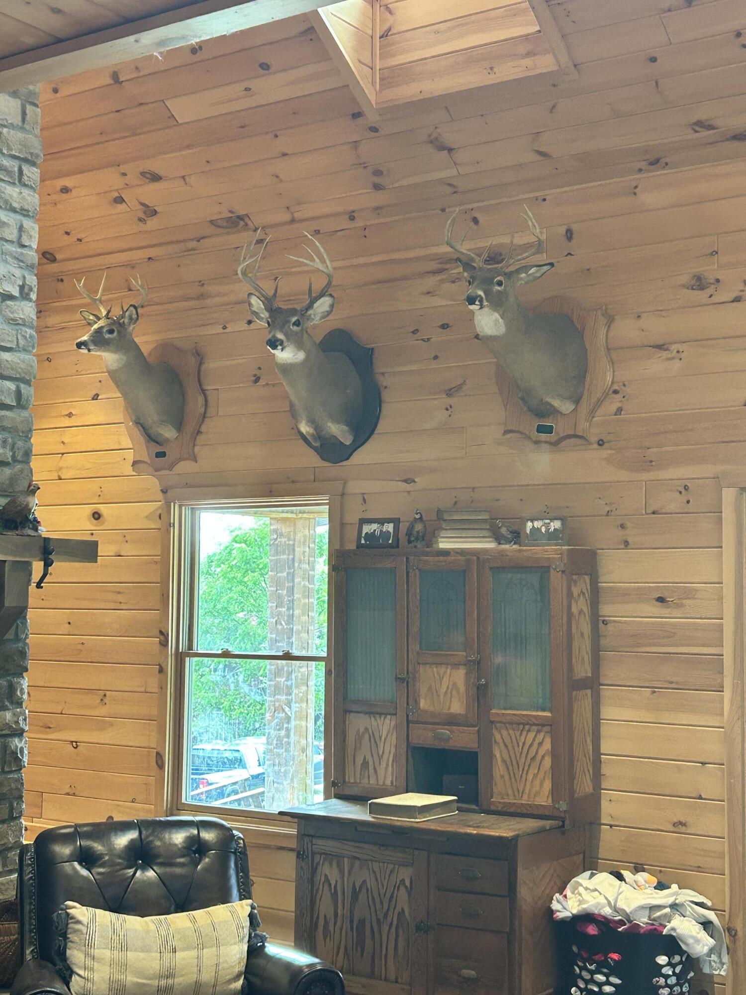 726 Old Brown Road Salvisa, KY 40372 - Photo 24 of 89 All deer and turkey taken off this farm.