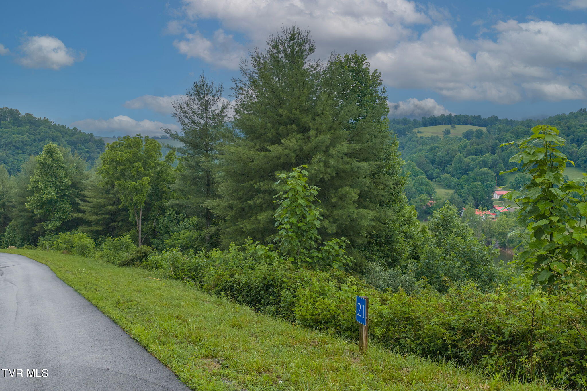 Lot 21 Eagle Rdg Parkway, Unit 21 Butler, TN 37640 - Photo 5 of 17 5-web-or-mls-DJI_20260601140731_0567_D
