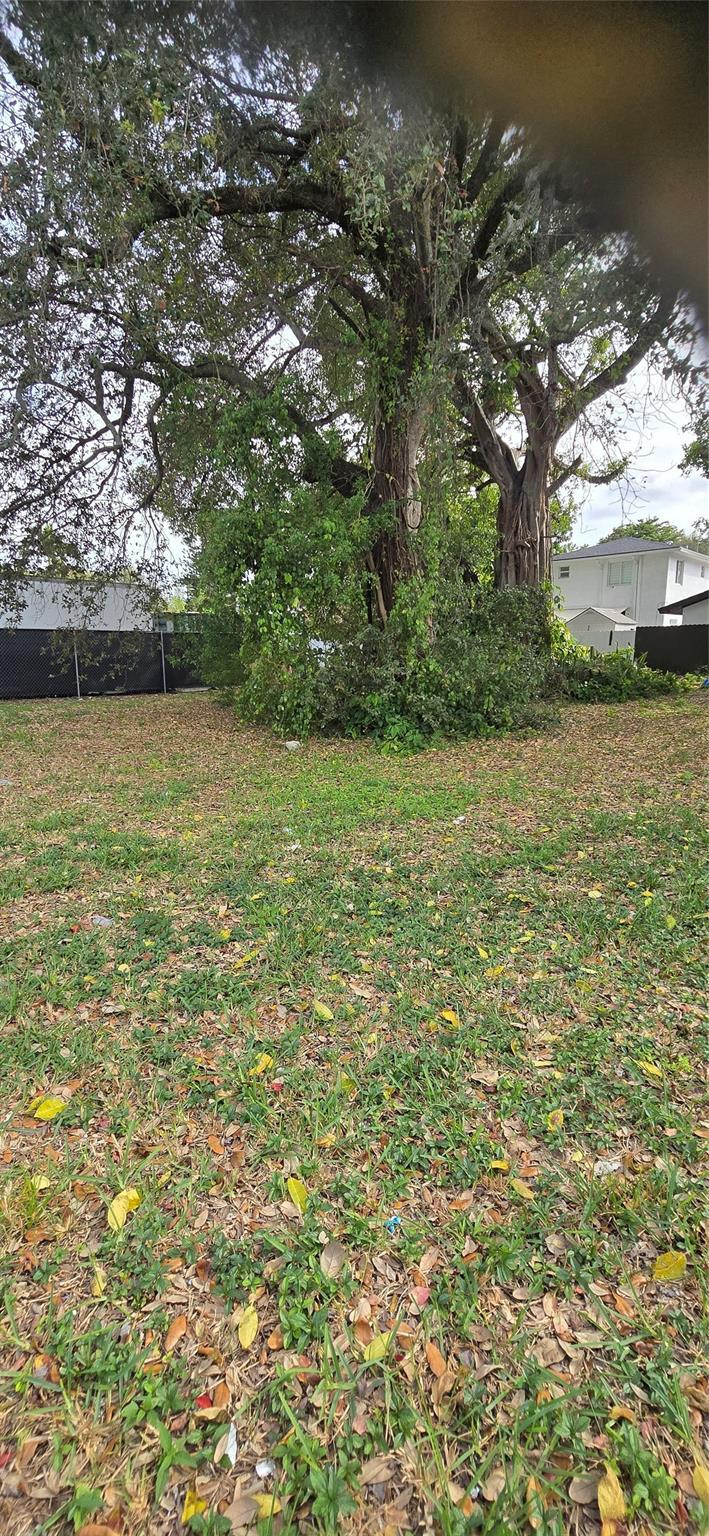 2948 Northwest 46th Street Miami, FL 33142 - Photo 5 of 9 Photo 5
