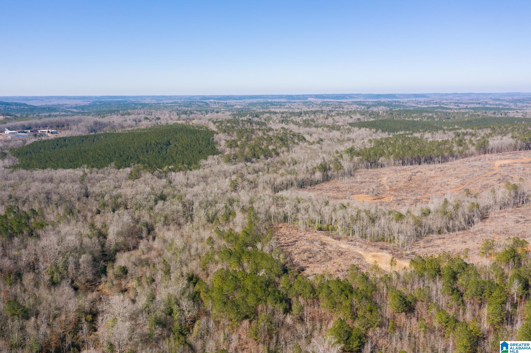 0 Harless Road Northport, AL 35475 - Photo 15 of 34
