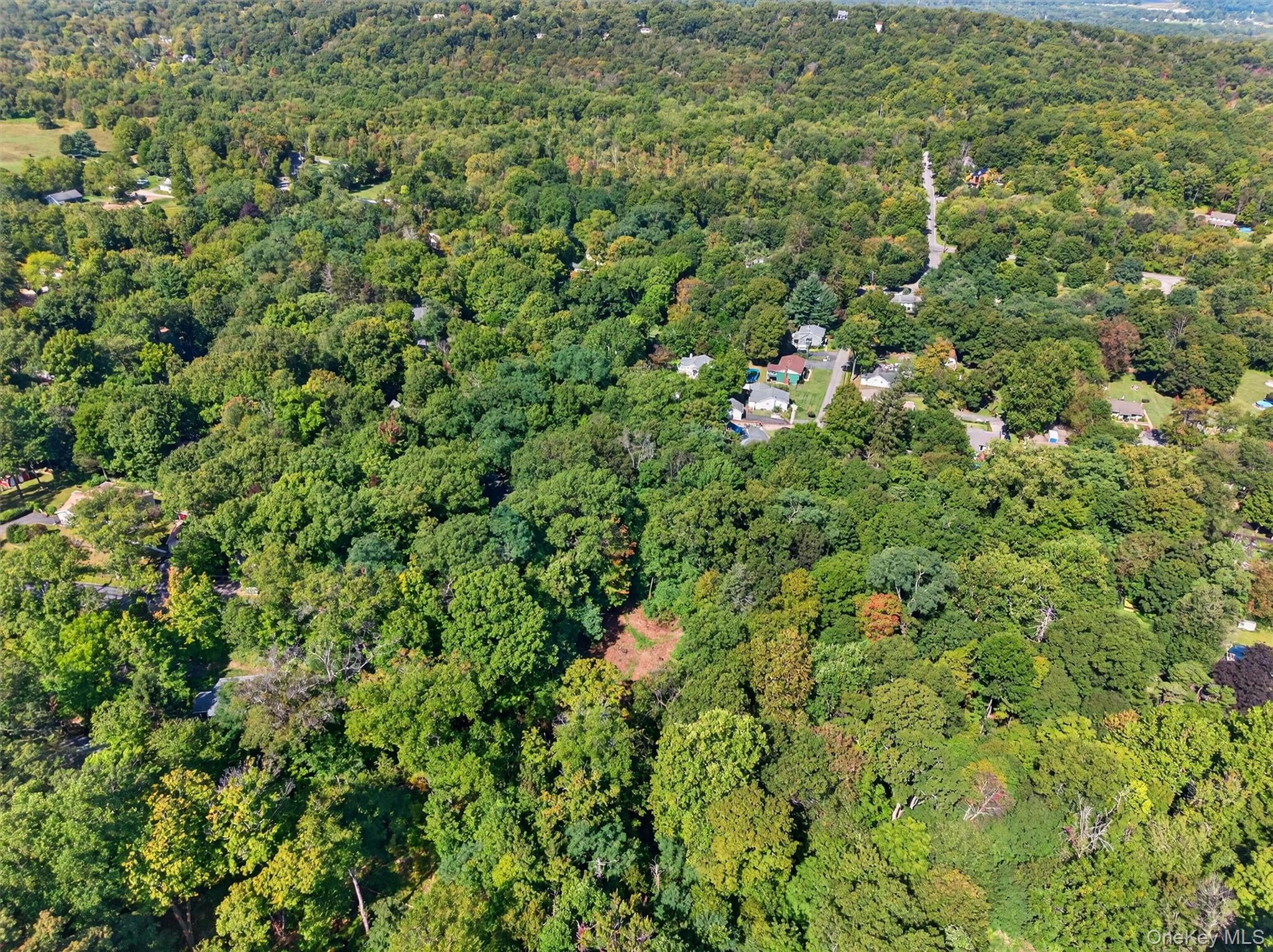 331 Mountain Lodge Road Blooming Grove, NY 10950 - Photo 45 of 50 Aerial view of property and surrounding area with a forest