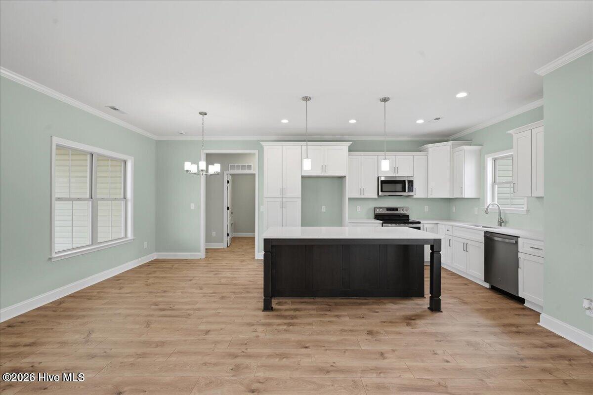 116 James Price Road Seven Springs, NC 28578 - Photo 8 of 28 10