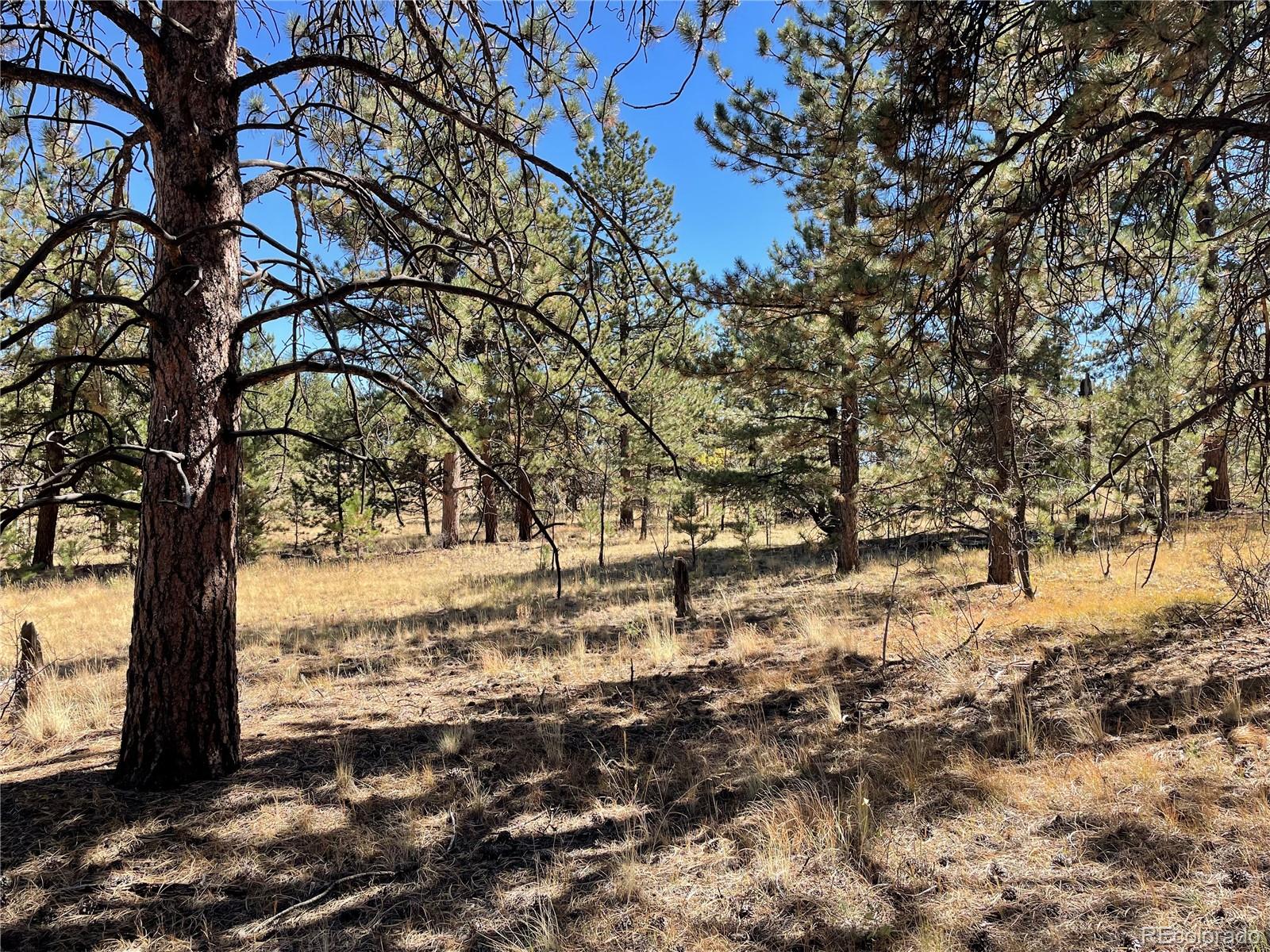 140 Haystack Road Hartsel, CO 80449 - Photo 1 of 13 Gallery Image 1