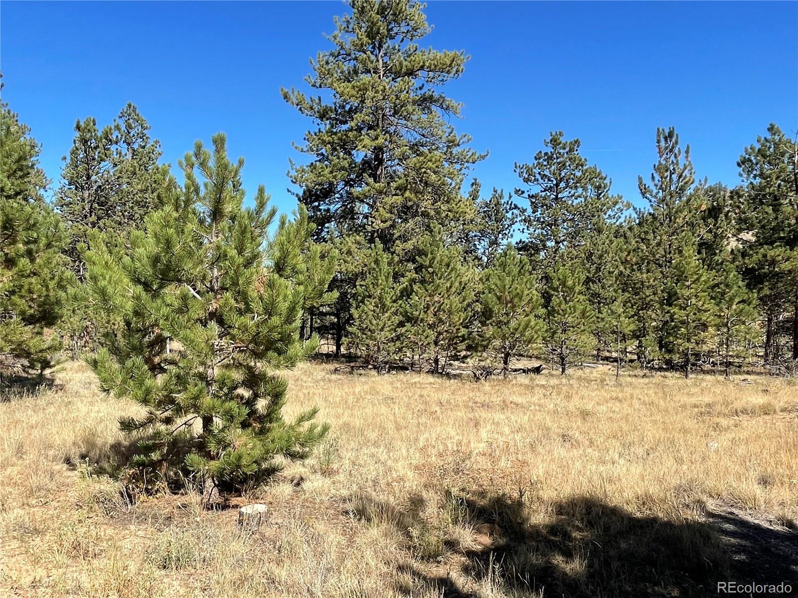 140 Haystack Road Hartsel, CO 80449 - Photo 5 of 13 Gallery Image 5
