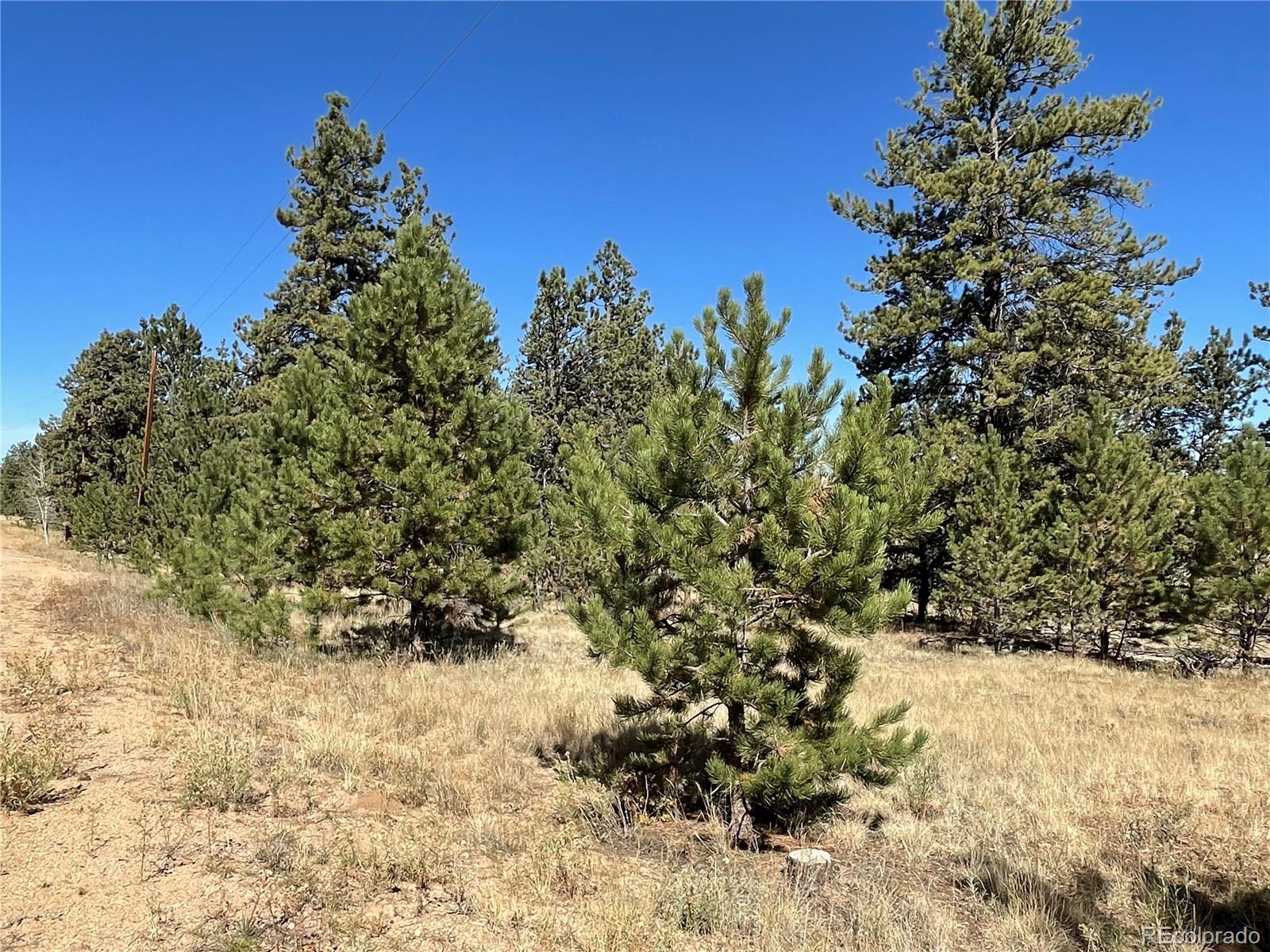 140 Haystack Road Hartsel, CO 80449 - Photo 6 of 13 Gallery Image 6