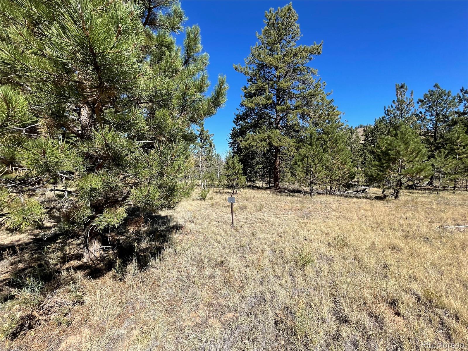 140 Haystack Road Hartsel, CO 80449 - Photo 8 of 13 Gallery Image 8