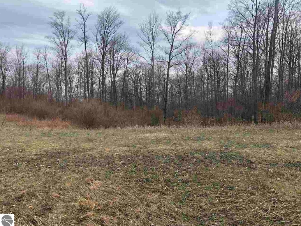 6550 Florey's Ranch Road, Unit LOT: 11 Grawn, MI 49637 - Photo 4 of 6