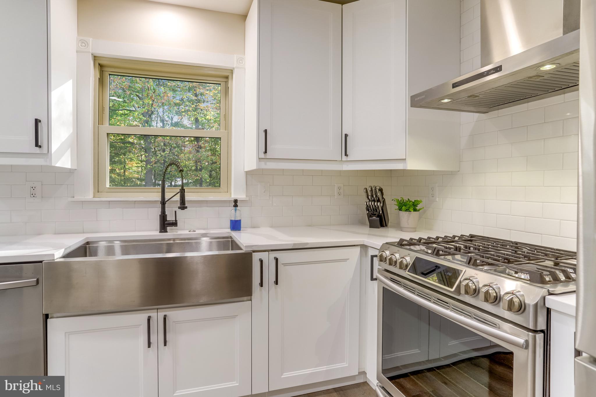 9210 Rockefeller Lane Springfield, VA 22153 - Photo 20 of 44 Views of the beautiful yard while on dish duty