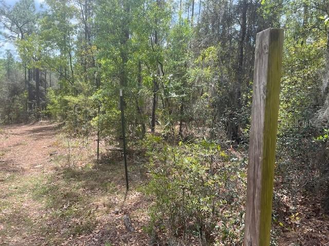 181 Whirlwind Loop Hawthorne, FL 32640 - Photo 5 of 8 a view of a forest