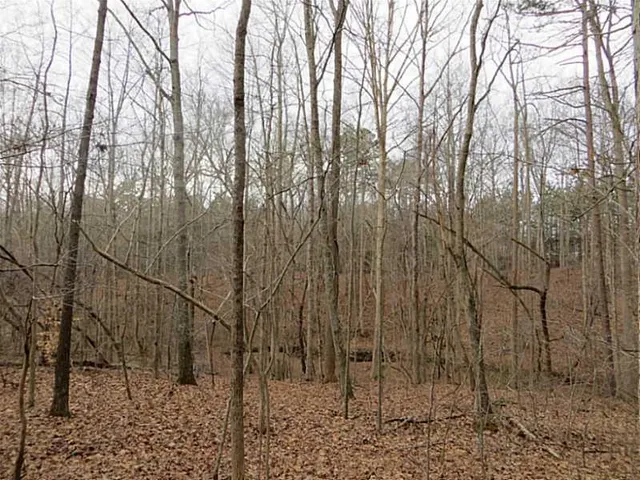 $816,750 | 6151 Spout Springs Road, Flowery Branch, GA 30542