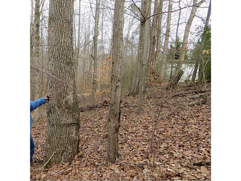 6151 Spout Springs Road Flowery Branch, GA 30542 - Photo 22 of 38