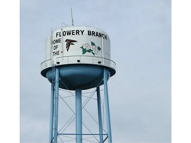 $816,750 | 6151 Spout Springs Road, Flowery Branch, GA 30542