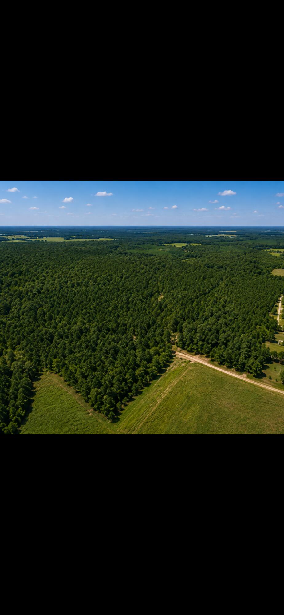 1463 County Road Nettleton, MS 38858 - Photo 3 of 4 Gallery Image 3