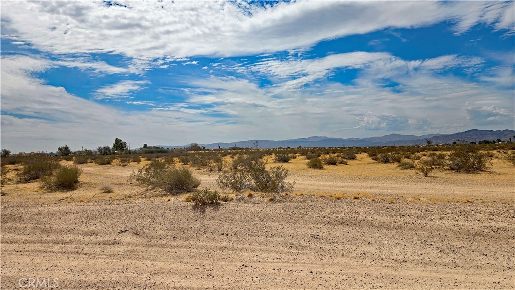 0 Riverside Road Newberry Springs, CA 92365 - Photo 6 of 23 Gallery Image 6