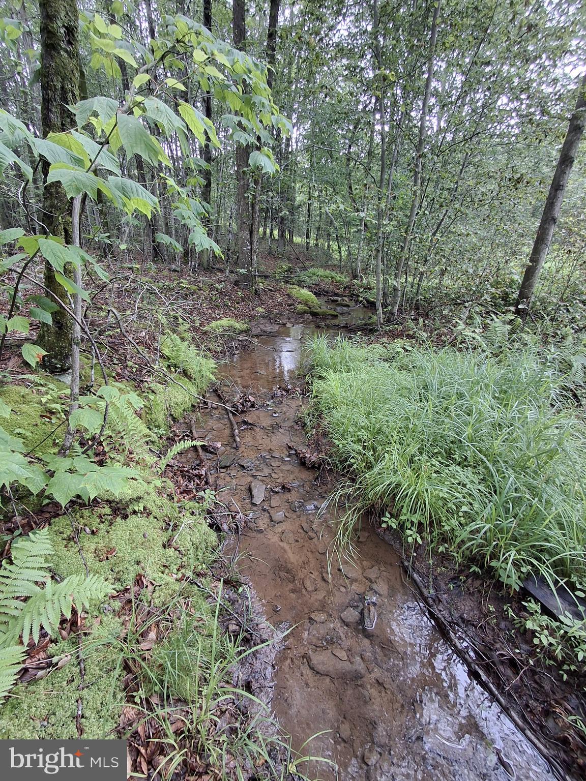 1070 Hayes Road Dushore, PA 18614 - Photo 19 of 23 Stream