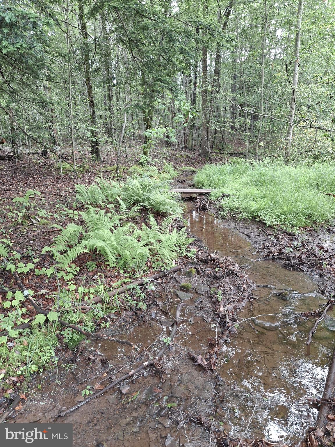 1070 Hayes Road Dushore, PA 18614 - Photo 20 of 23 Stream