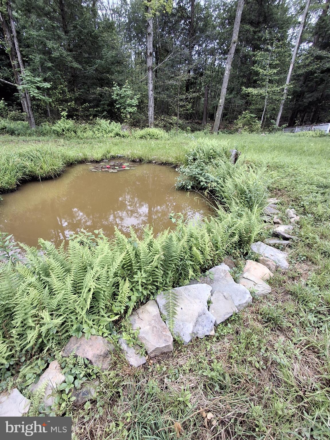 1070 Hayes Road Dushore, PA 18614 - Photo 21 of 23 Pond