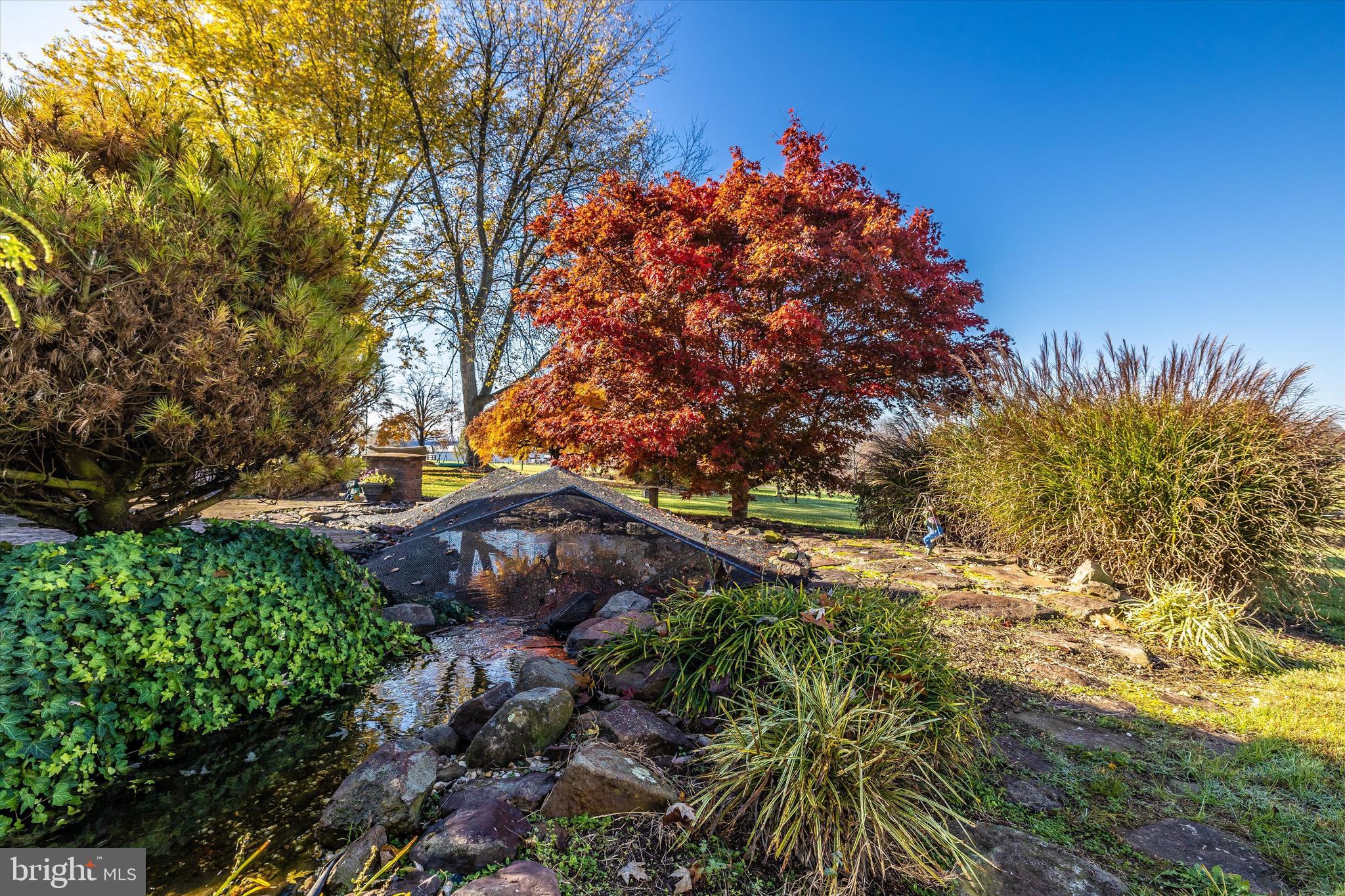 13020 Myers Road Rocky Ridge, MD 21778 - Photo 71 of 75 Pond