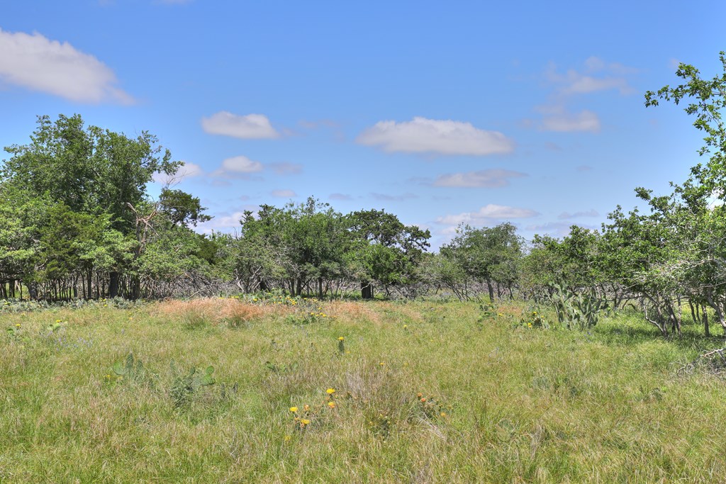 2600 Reservation Road Harper, TX 78631 - Photo 16 of 16