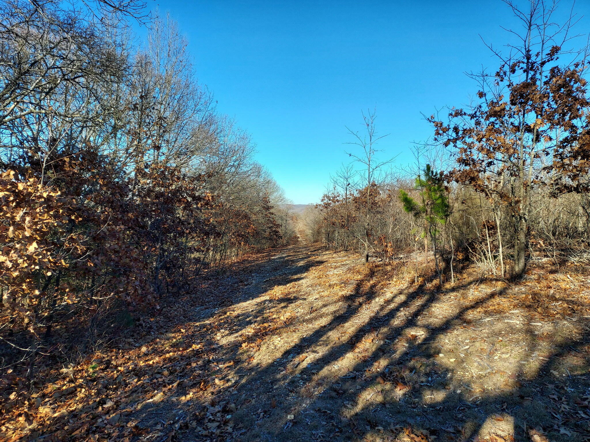 9015 Stallion Bluff Road Shell Knob, MO 65747 - Photo 32 of 49 4810bk