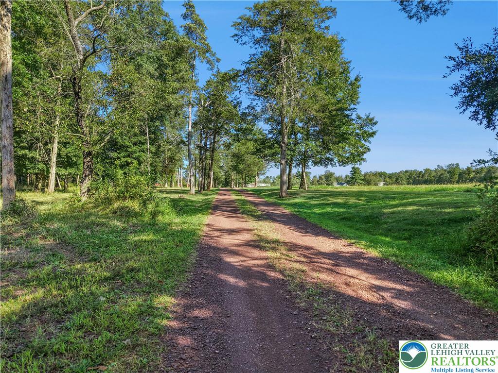 119 Center Hill Road Upper Black Eddy, PA 18972 - Photo 60 of 63