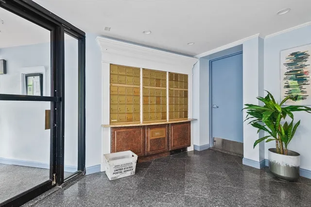 a living room with a potted plant and a large window
