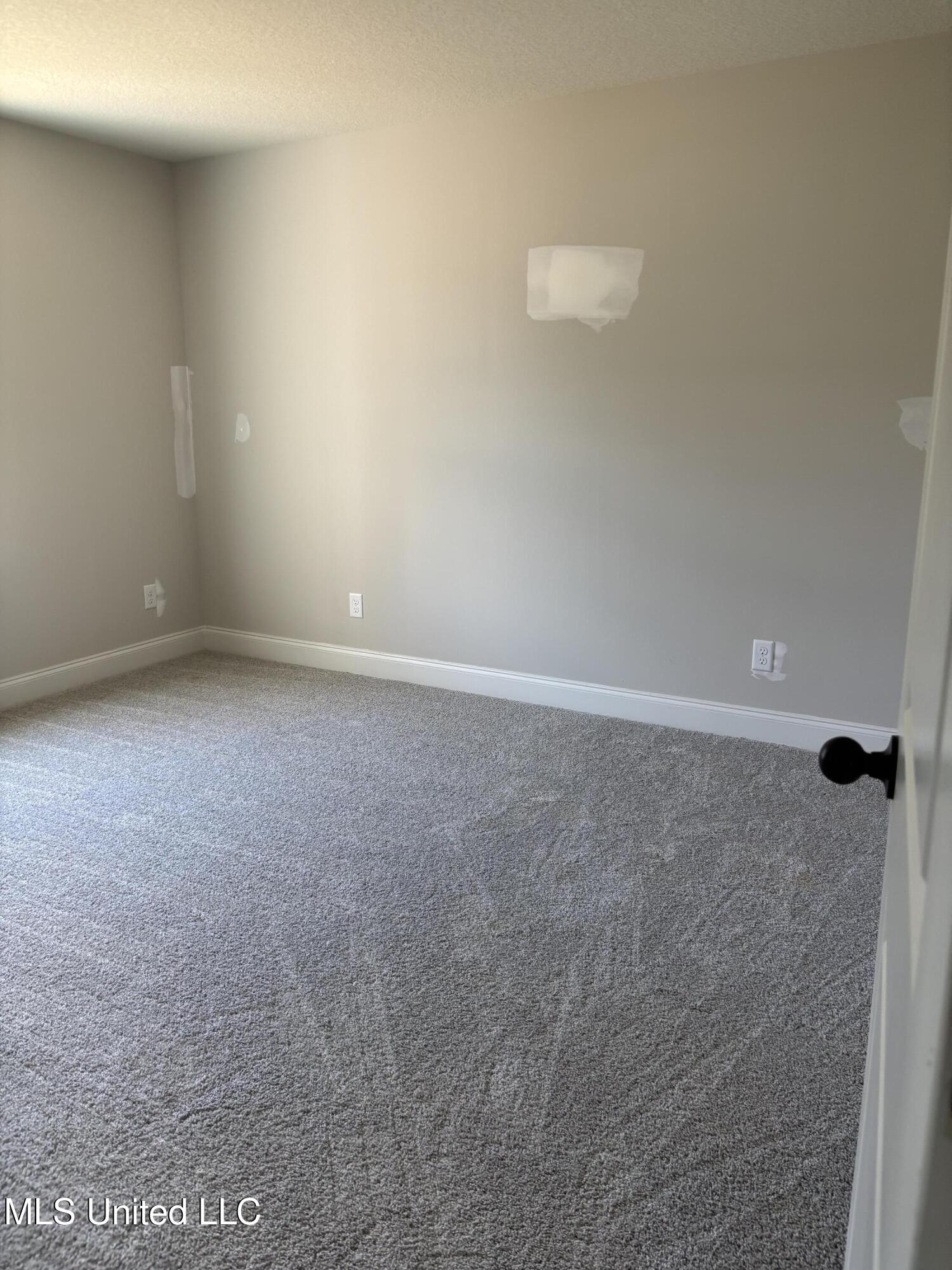 966 Buttermilk Drive Nesbit, MS 38651 - Photo 14 of 18 IMG_2715