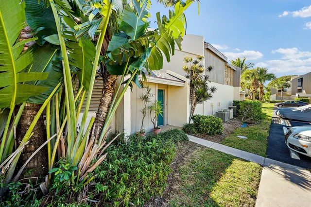 a view of a yard with plants