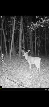 $325,000 | 3 County Road 3, Holdingford, MN 56340