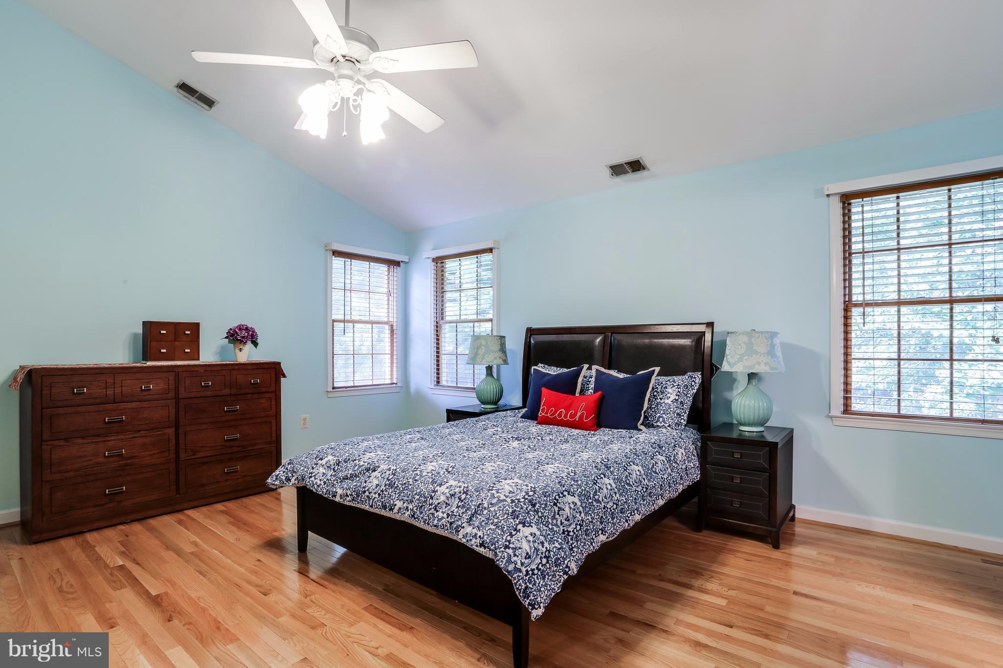 11946 Frederick Road Ellicott City, MD 21042 - Photo 16 of 30 Bedroom (Master)-large room w/Cathedral ceiling
