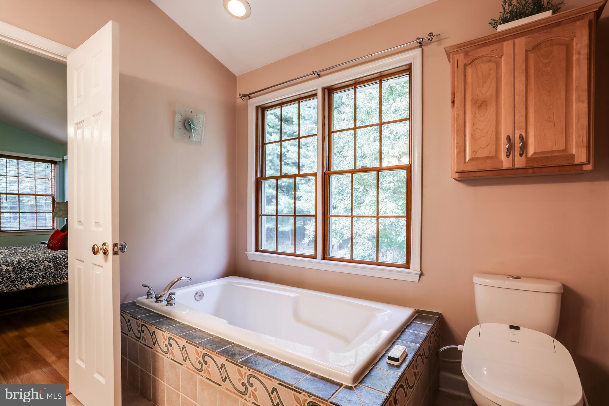 11946 Frederick Road Ellicott City, MD 21042 - Photo 19 of 30 Bath (Master)-sunken tub & ceramic tiles