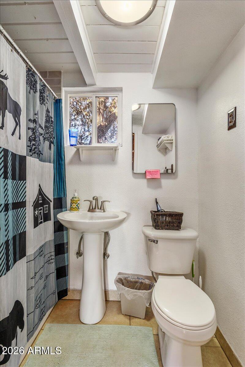 5437 Show Low Lake Road Lakeside, AZ 85929 - Photo 14 of 46 21-IMG_8797